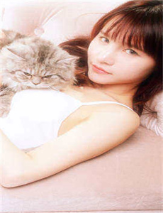 金瓶美全集在线观看