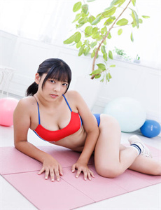 向日葵花开